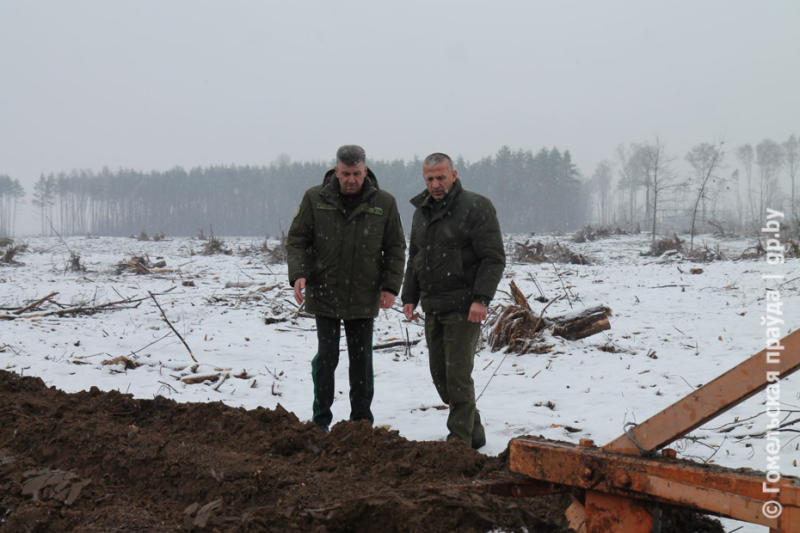 Бороться с ними нам по силам. Представителям СМИ региона рассказали о ходе разработки буреломов на Гомельщине