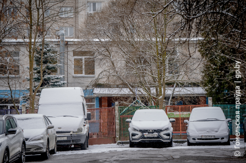 Фотофакт. В Гомеле выпал снег 