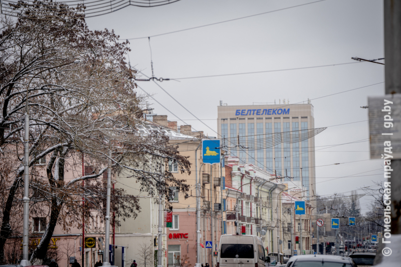 Фотофакт. В Гомеле выпал снег 